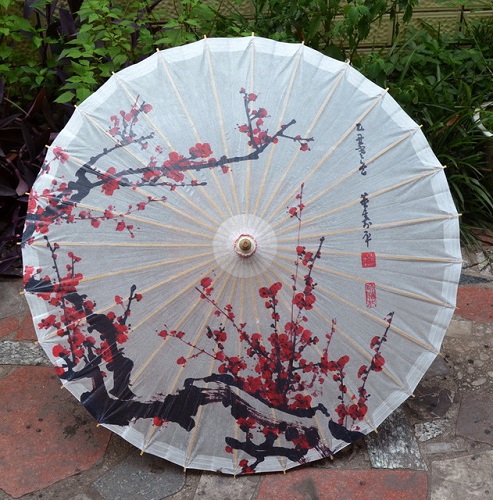 Κινέζικη ομπρέλα αδιάβροχη