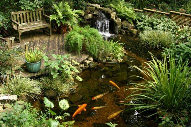 Vattenfall-koi-damm-fisk-trä-terrass-trädgård bänk