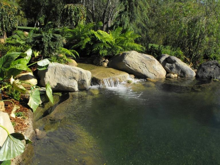 Ström-trädgård-vattenfall-avskilt-vintergröna-växter-wellness-oas