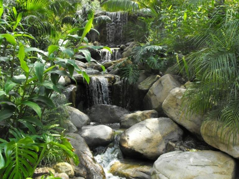 Vattenfall-bäck-drömträdgård-exotisk-frodig-odlad