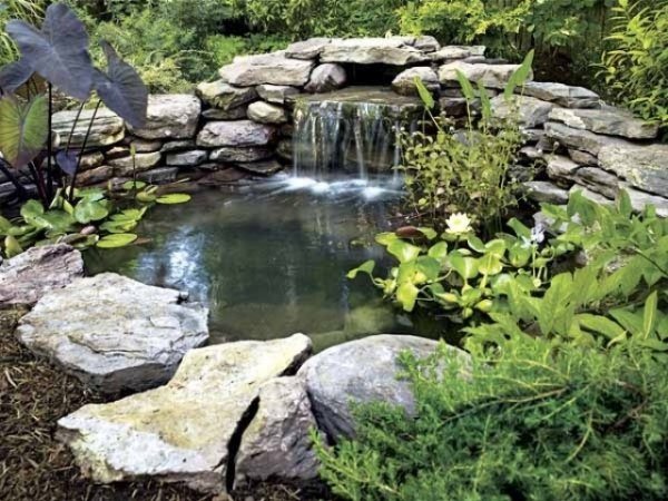 Trädgårdsdamm planterad med stort vattenfall i platt sten