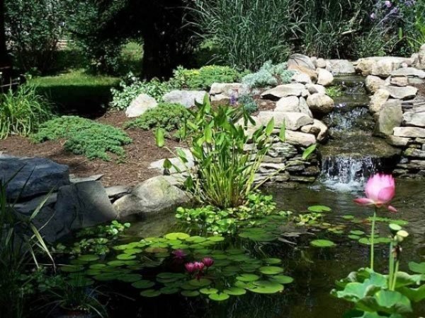 Vattendamm bildar-planteringar skuggälskande vattenfall