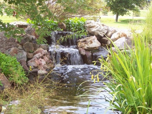 Avkopplande trädgård med naturliga flodvatten damm vattenfall