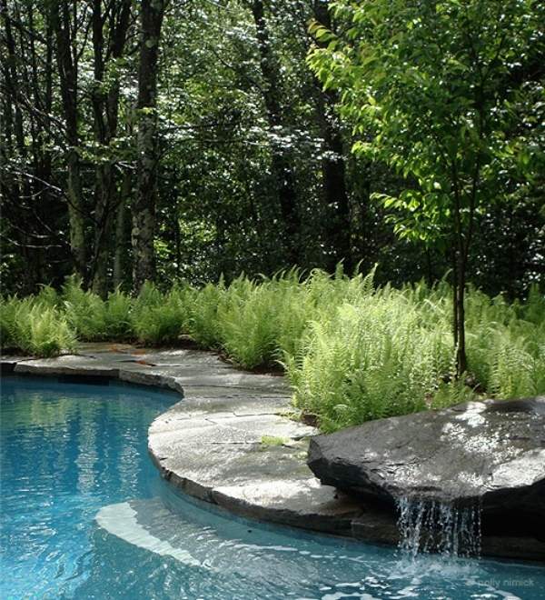 trädgårdspool med vattenfalldesign-gräsmatta-gräns