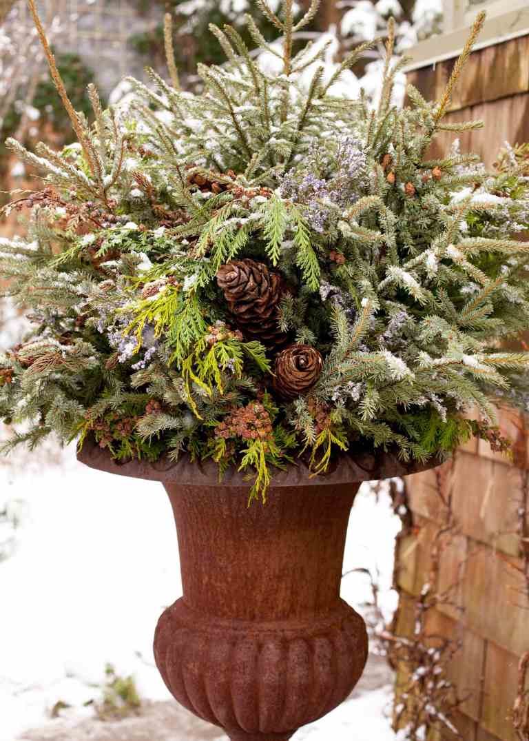 Gör ditt eget julhörna utomhus med havs lavendel och grangröna och cypressgrenar och kottar