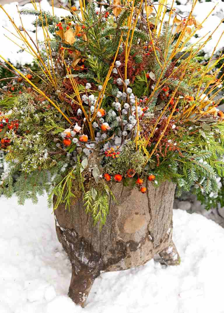 Kombinera jularrangemang för utsidan med kåta grenar och nypon och torkade härliga sparvar med guldrod och trädskräp och lägg krypande enbär och Fraser balsamgran som accent
