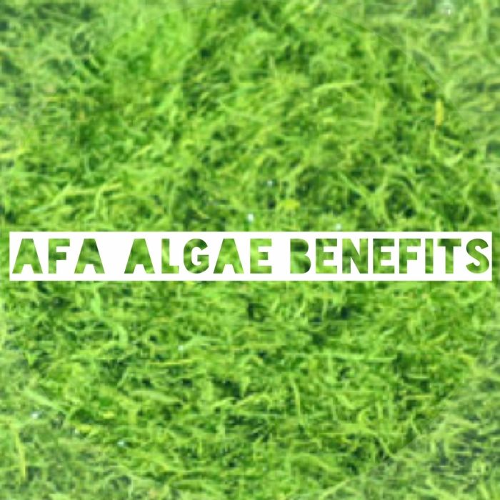 Tips-AFA-Alger-Superfoods-Hälsofördelar-
