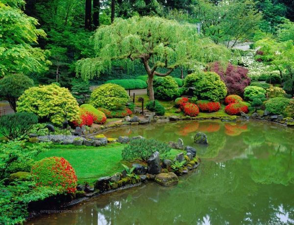 Pond-in-the-garden-building-method-japansk-inspirerad-stil