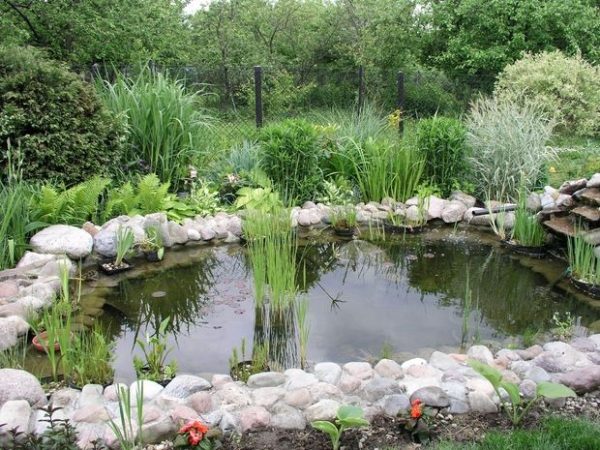 Vatten-effekter-i-trädgården-själv-damm-bakgård-bygg-tips