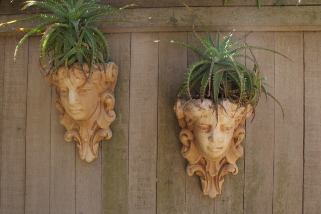 aloe vera växter trädgård dekoration vägg statyer kruka