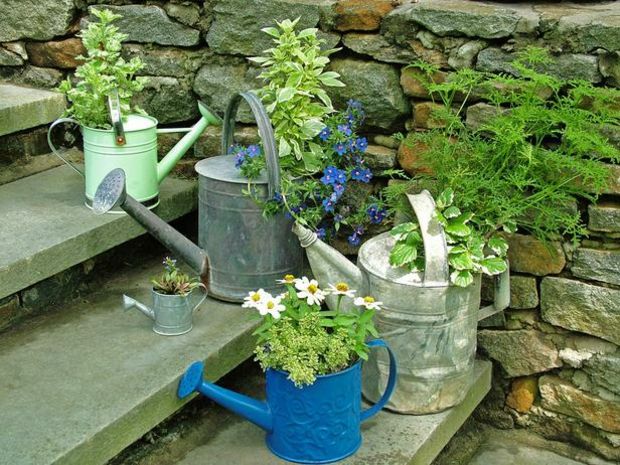 Trappa dekoration färska blommor krukväxt trädgård