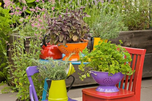 gammal vattenkanna blomkruka trädgårdsdesignidéer