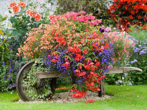 Dekorationsidéer skottkärra planterade blommor färgglada
