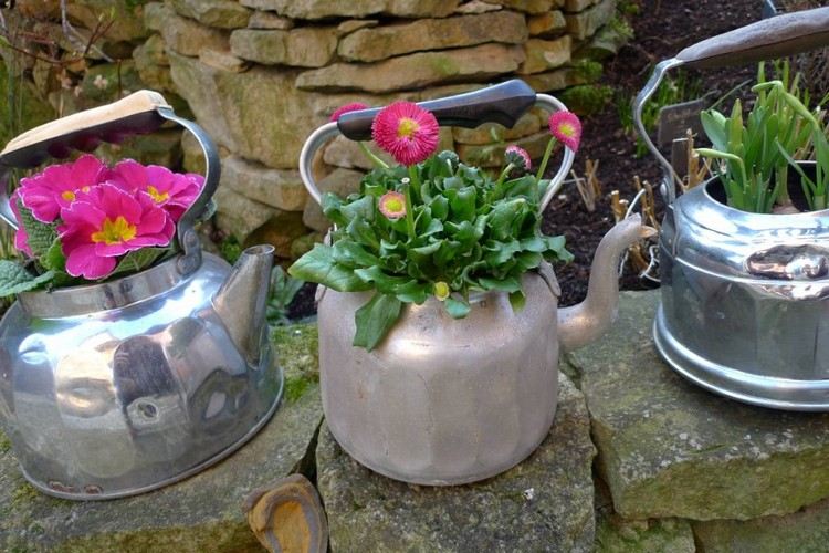 Upcycling idéer trädgård för att plantera gamla tekannor