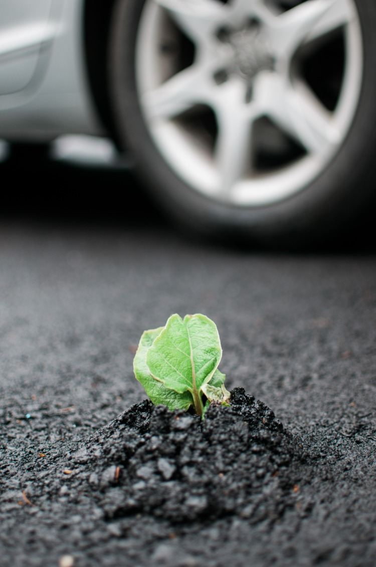 stoppa klimatförändringar alternativa bränslen grön växt asfaltbil