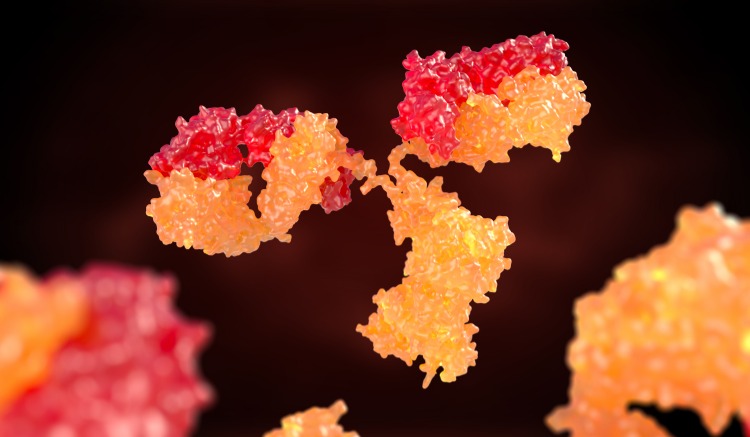 mänskliga antikroppar aktiverar immunsystemet genom terapeutisk fastande svältcellregenerering
