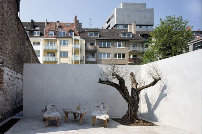 innergård träd modern lägenhet renovering i düsseldorf