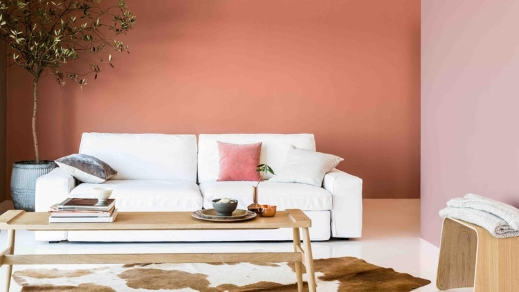 skymning-rosa-vägg-färg-modern-soffa-päls-matta-bord-träd-växt