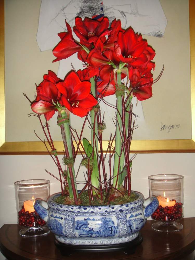 Amaryllis blomsterarrangemang röd skål grenar i kinesisk stil ljus bär