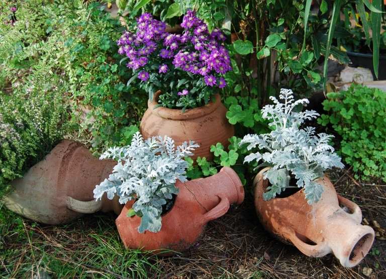 Amphora växt trädgårdsstig avgränsar trädgårdsdekoration terrakotta