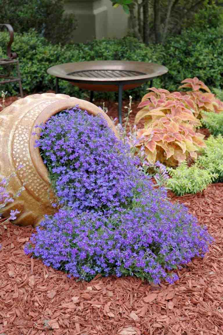 Amphora växt blommor trädgård dekoration Medelhavet