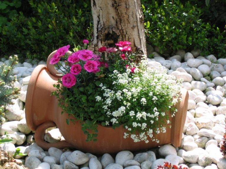 Amphora växt rosor sten trädgård idéer