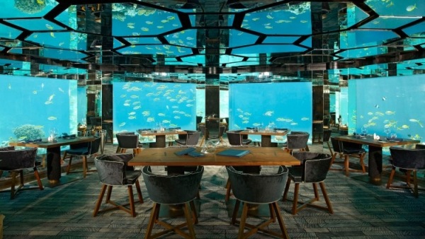 Underwater Restaurant-Anantara Kihavah Resort Maldiverna