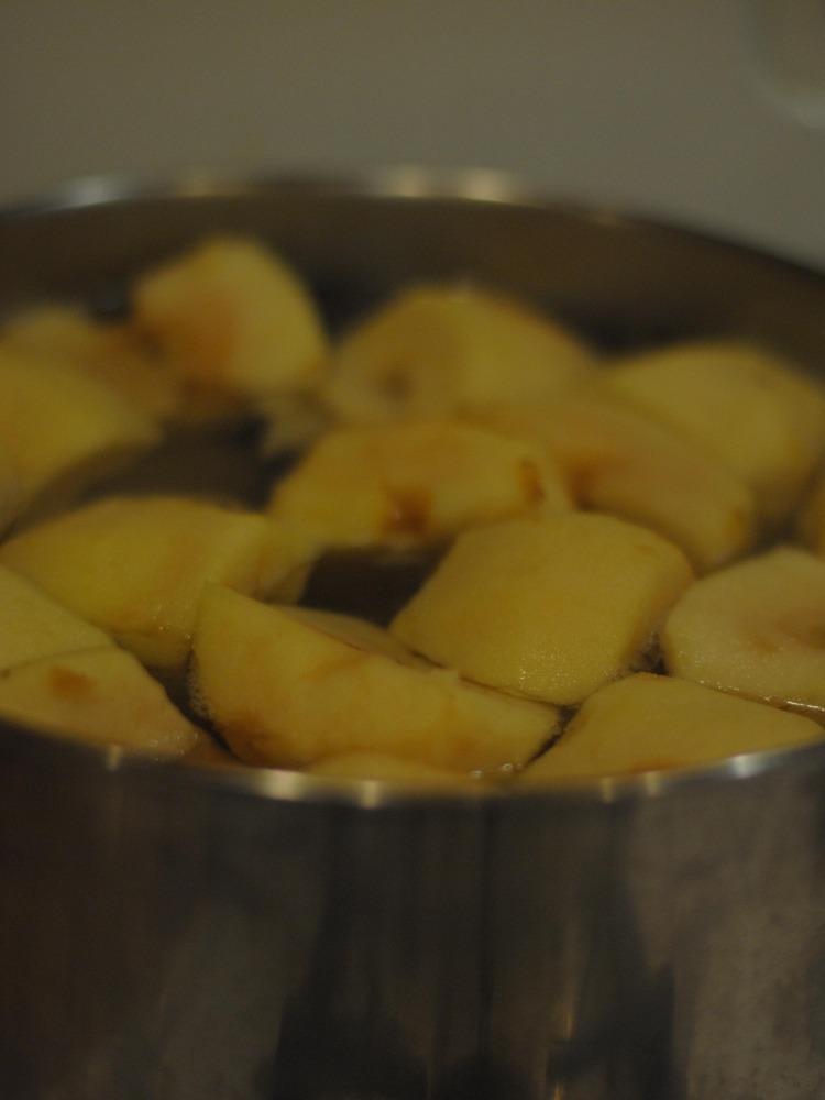 Tillagning av äppelpuré recept-instruktioner-hackning-äppelbitar