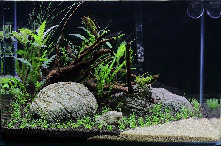 akvarium-uppsättning-instruktioner-stenplantering