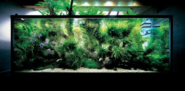 Akvarium i japansk stil