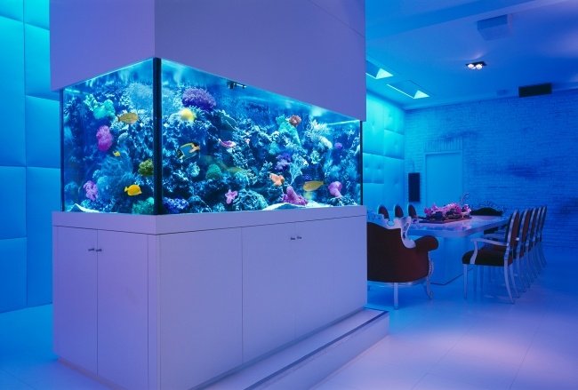 akvarium idéer modern inredning blå led lampor matplats