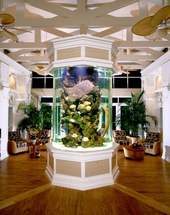 akvariumidéer centrerar rummet kring blickfång