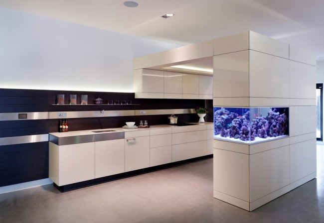 akvarium inredningstips kök vita skåp blå lampor korall