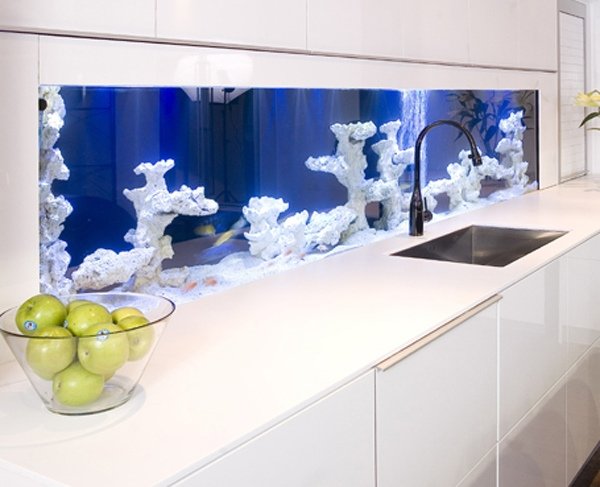 akvarium kök kaklat spegel vita korallskåp
