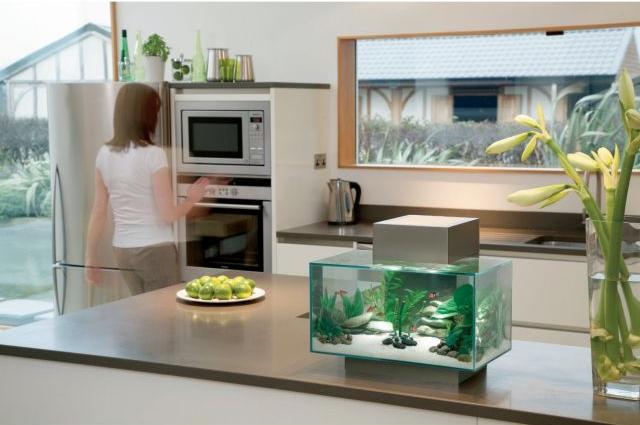 nano akvarium litet kök bänkskåp