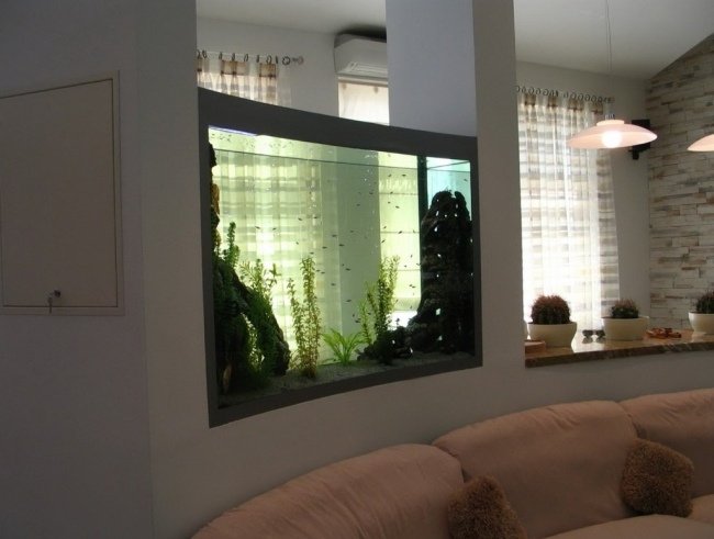 akvariumvägg integrerande rumsavdelare transparent