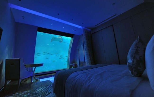 sentosa resort sovrum vägg akvarium