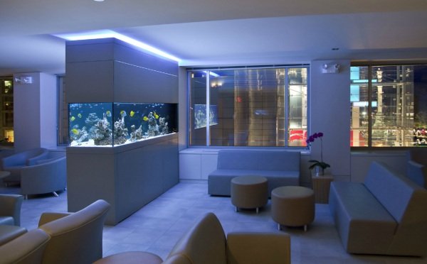 akvarium idéer skåp rumsdelare läder möbler blå belysning
