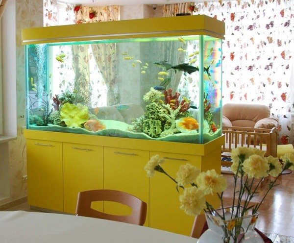 akvarium rumsdelare underskåp gardiner fisk