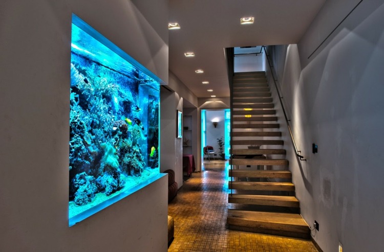 Väggdekoration hallen moderna levande trender akvarium levande väggidéer