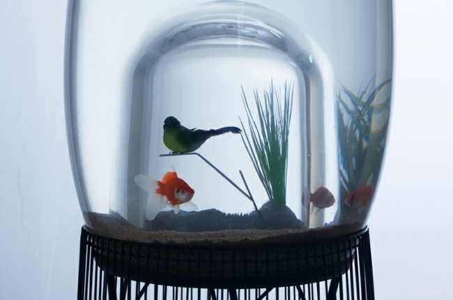 Guldfisk modern design akvarium fågelbur hem