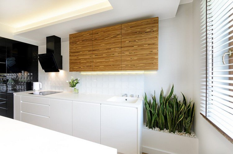 Bänkskivor för köket -idéer-korian-vit-modern-glas-vägg-led-remsa-trä-övre skåp