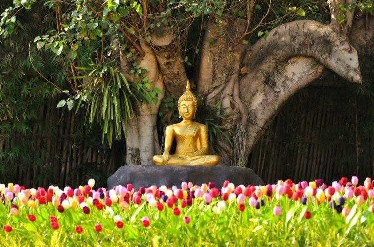 asiatisk-trädgård-dekoration-buddha-staty-guld-palm-färgad-tupel-bambu