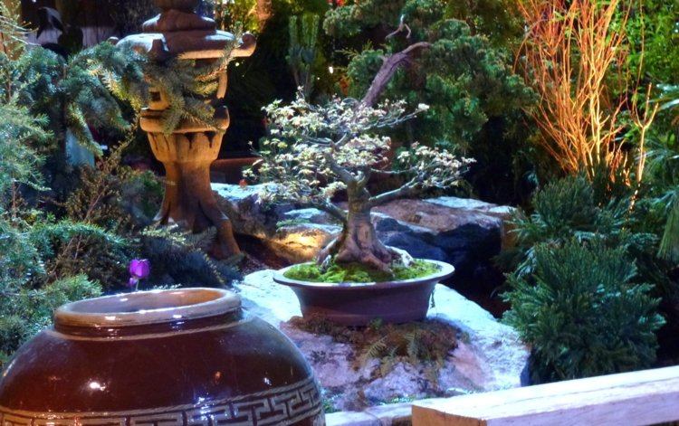 asiatisk konst-dekoration-bonsai-träd-fyr-terrakotta-krukväxt-sten