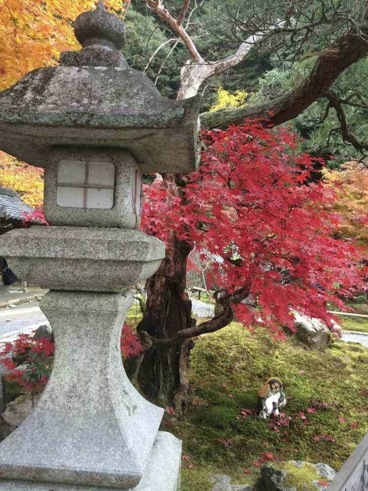 asiatisk-trädgård-dekoration-sten-fyr-japansk-lönn-trädgård design