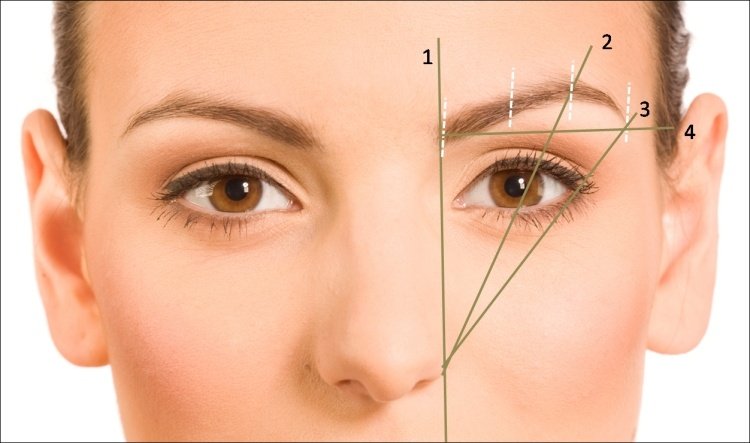 ögonbryn formar tips-tricks-perfekt-linjer-symmetri-ögon
