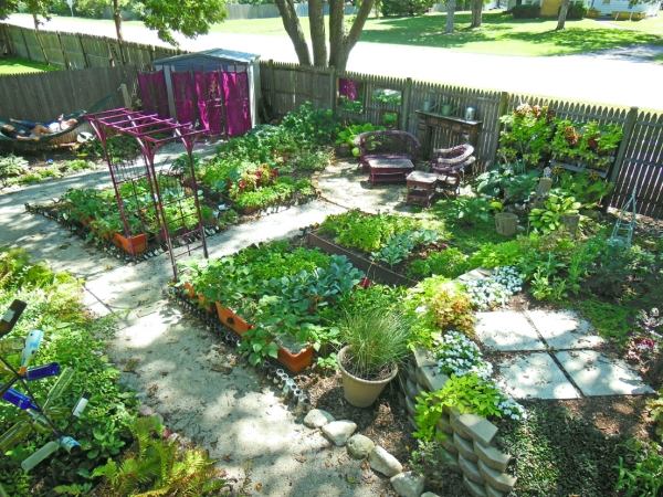 plantera grönsaker trädgård design med utvärdering