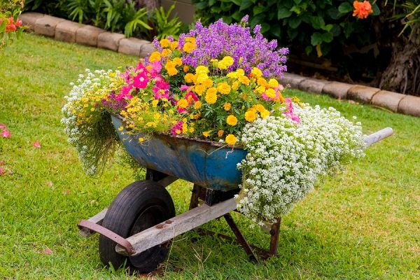 Skottkärra blomsterbäddsdekoration för trädgårdsdesignidéer