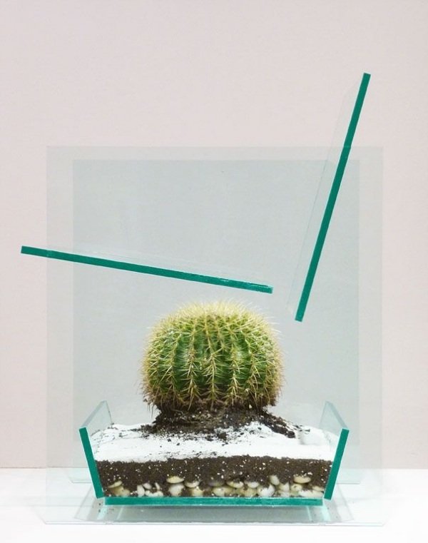 Modern glas kaktus stol Deger Cengiz blomkruka