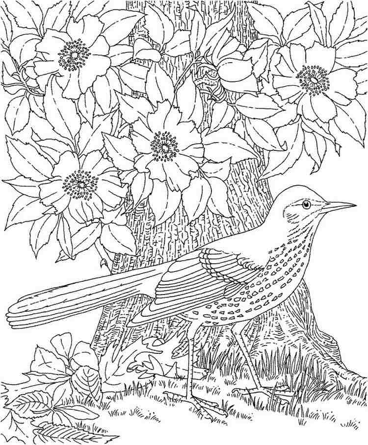 målarbok-vuxna-natur-miljö-målarbok-fågel-blommor-vår